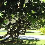 Tenuta Paifer *