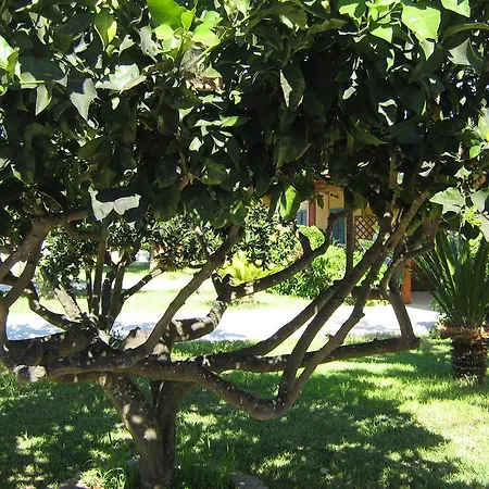Tenuta Paifer Κατάλυμα σε φάρμα Οτράντο