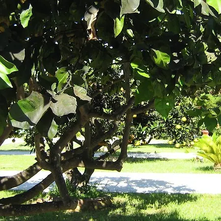 Tenuta Paifer *