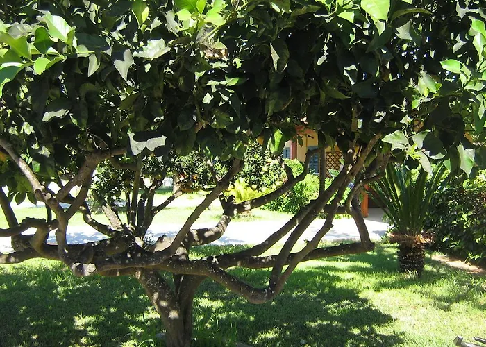 Tenuta Paifer Çiftlik konaklama Otranto